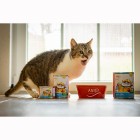 Katze Nassfutter Eismeer Terrine 810g 6 Stück -3- Anifit